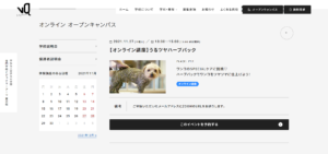 No.024 学校法人安達文化学園 専門学校ビジョナリーアーツ 東京校-オンラインオープンキャンパス