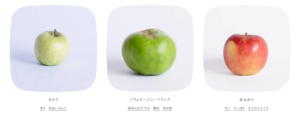  No.008 山下フルーツ農園-商品紹介